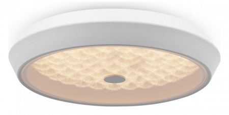 Накладной светильник Freya Cells FR10012CL-L24W