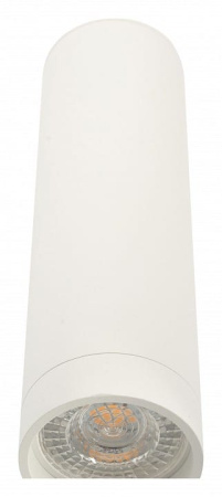Накладной светильник Denkirs DK2000 DK2052-WH