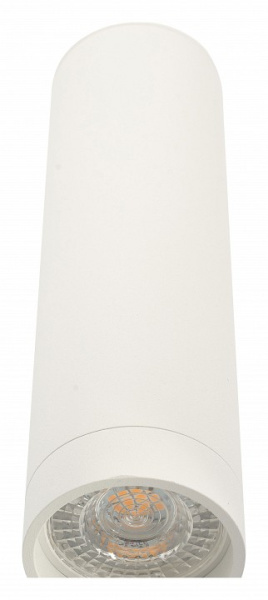 Накладной светильник Denkirs DK2000 DK2052-WH