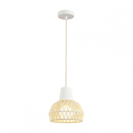 Подвесной светильник Lumion ECO 8368/1B