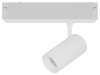 Светильник на штанге Lightstar Teta CCT 205036CCT