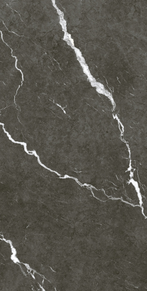 Coliseum Michelangelo Керамогранит Dark 60x120 натуральный