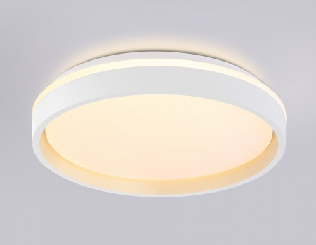 Накладной светильник Ambrella Light FZ FZ601