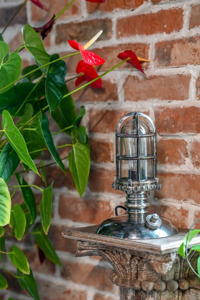 Настольная лампа декоративная Covali NL-51633