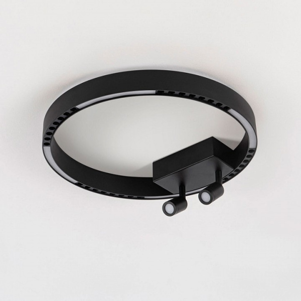 Накладной светильник Ambrella Light FL FL5806