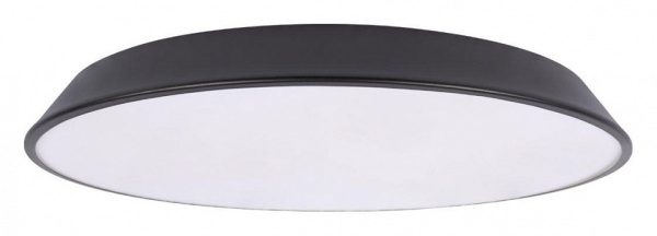 Накладной светильник Loft it Brim 10226 Black