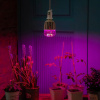 Лампа светодиодная Uniel LED-M80  20Вт K 11098