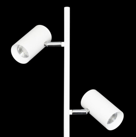 Торшер Citilux Twin CL809010N