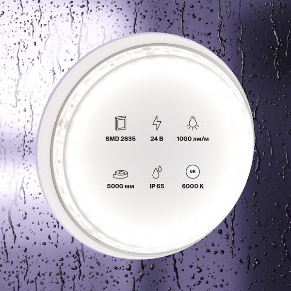 Лента светодиодная Maytoni Led Strip Светодиодная лента 24В 10147
