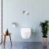 Подвесной унитаз Damixa Scandinavian Pure DX36C1701SC с крышкой-сиденьем