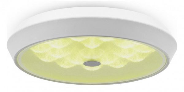 Накладной светильник Freya Cells FR10012CL-L24W