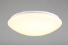 Накладной светильник Omnilux Berkeley OML-43007-40