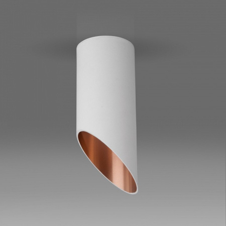 Накладной светильник Elektrostandard 7011 7005 a050119