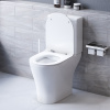 Унитаз-компакт Damixa Sirius DX86C8600SC безободковый с сиденьем микролифт