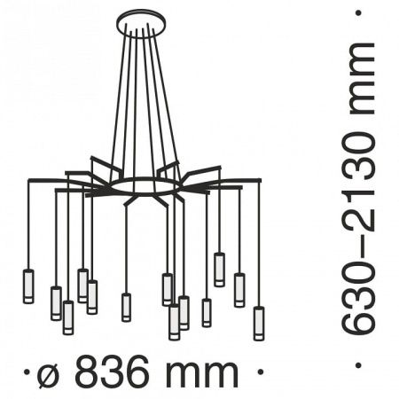 Подвесная люстра Maytoni Давида MOD035PL-12B