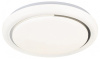 Накладной светильник Escada  10227/S LED APP