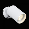 Спот ST-Luce Fanale SL597.501.01