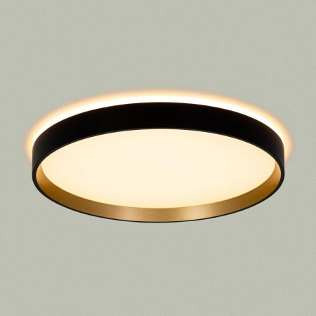 Накладной светильник Citilux ETALON CL750321R