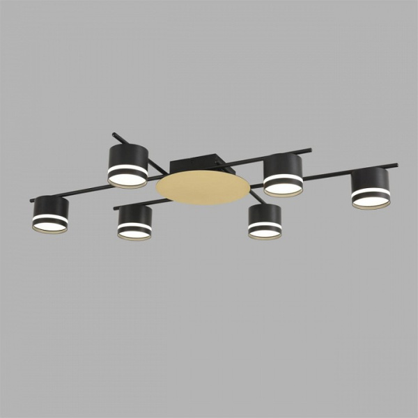 Потолочная люстра Lumion BENUA 8304/6C