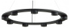 Подвесная люстра Odeon Light Turman 6631/75L