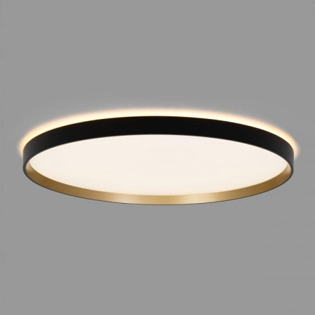 Накладной светильник Citilux ETALON CL750501R