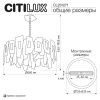 Подвесная люстра Citilux DART CL231271