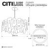 Подвесная люстра Citilux DART CL231272