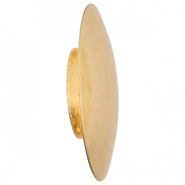 Накладной светильник ST-Luce Aureo SL457.201.01