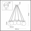 Подвесная люстра Lumion Randi 5212/6