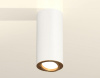 Накладной светильник Ambrella Light XS XS7442004