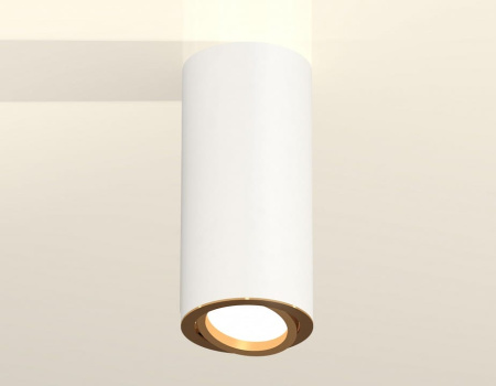 Накладной светильник Ambrella Light XS XS7442004