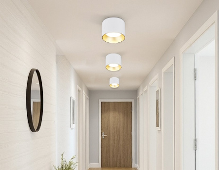 Накладной светильник Ambrella Light TN TN52882