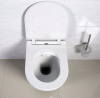 Унитаз BelBagno Flay-R BB506CH