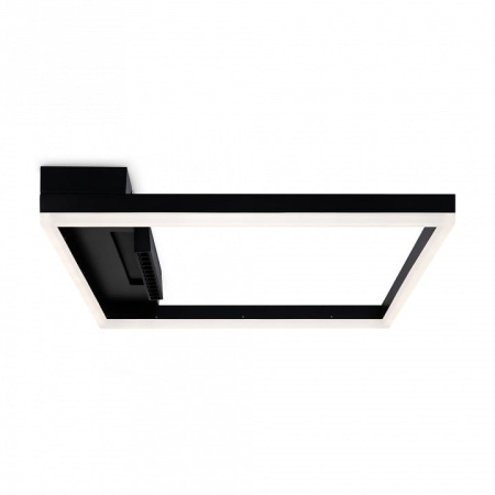 Накладной светильник Freya Frame FR6084CL-L82B