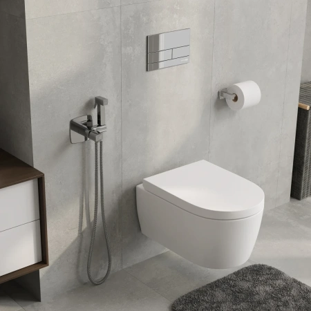 Гигиенический душ WasserKRAFT Naab 8638 со смесителем, хром