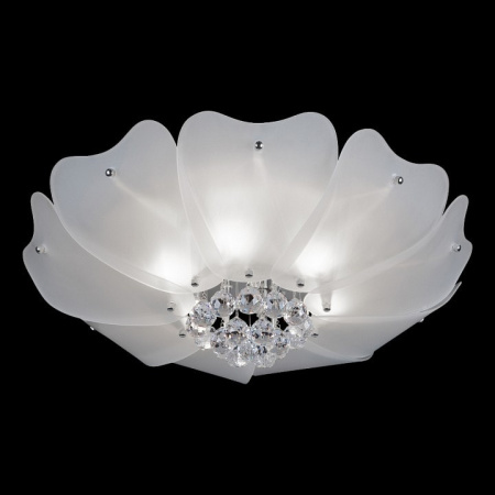 Накладной светильник Lightstar Lobo 804020