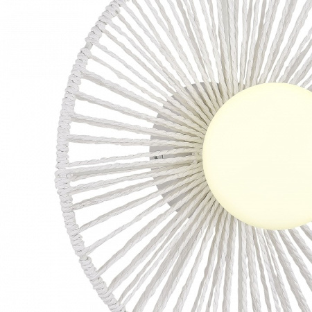 Накладной светильник EVOLUCE LOOM SLE6022-501-01