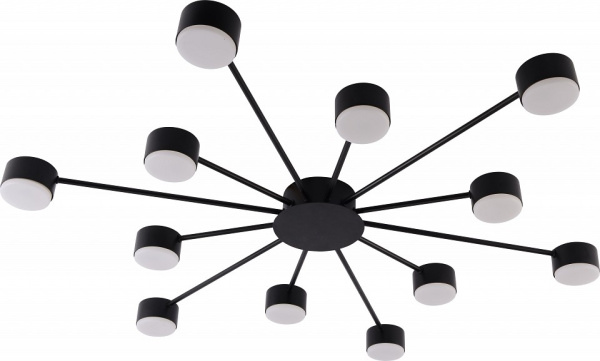 Потолочная люстра Rivoli Leona 3184-312