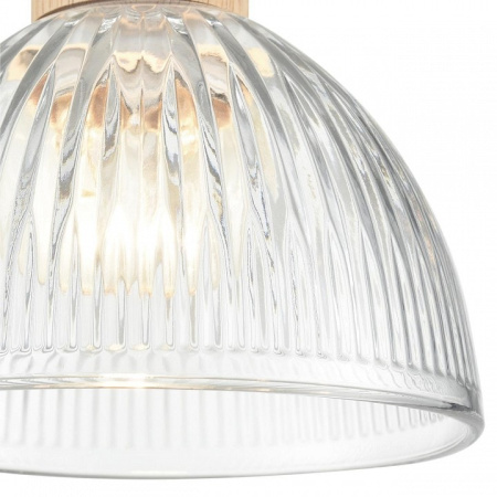 Подвесной светильник Lumion Natana 8055/1А