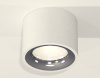 Накладной светильник Ambrella Light XS XS7510022