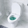 Унитаз-компакт Am.PM Gem C908607SC