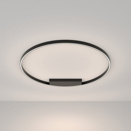Накладной светильник Maytoni Рим MOD058CL-L65BK