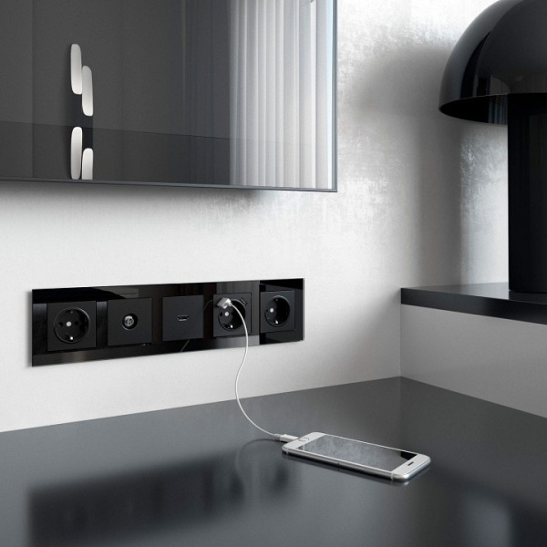 Розетка с заземлением и со шторками и 2хUSB без рамки Werkel черный матовый W1171508