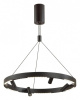 Подвесная люстра Odeon Light Beveren 6683/77L