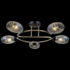 Потолочная люстра ILLUMICO  IL0300-5CSQ-79 BK AB