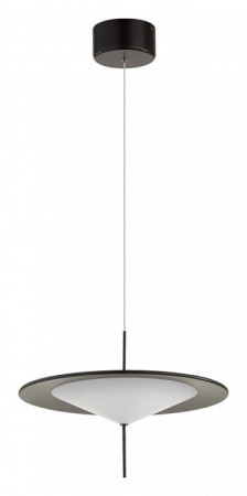 Подвесной светильник Odeon Light Steka 5012/16L