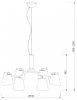 Подвесная люстра Freya Nordic FR5127PL-06B