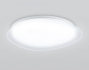 Накладной светильник Ambrella Light ORBITAL FZ1605