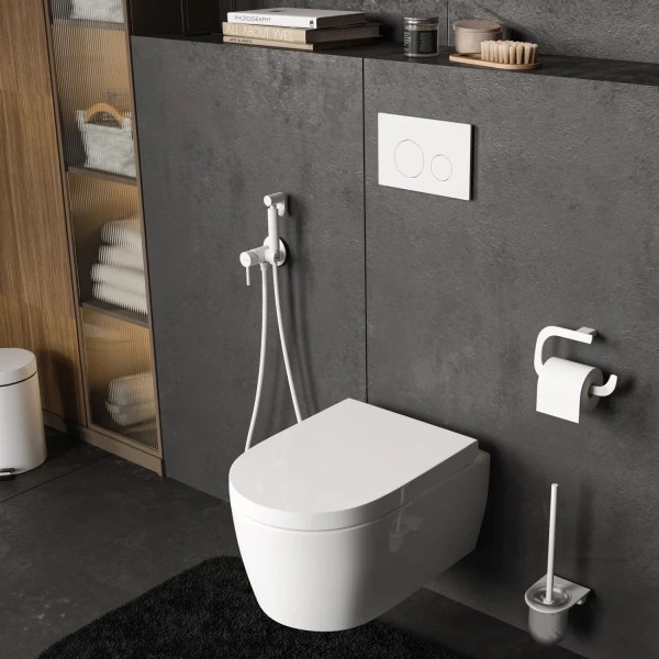 Инсталляция для унитаза WasserKRAFT Alme 15 15TLT.010.ME.WM02 с кнопкой смыва, белый матовый