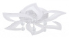 Потолочная люстра Natali Kovaltseva Olimp LED LAMPS 81238